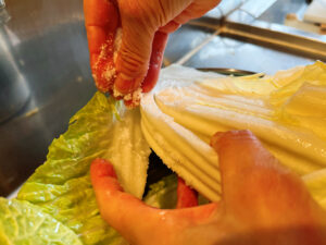 Japanese Mom's hakusai no Tsukemono Recipe